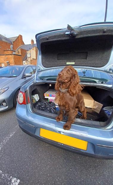 Specialist search dog Bran with some of the seized goods