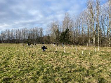 Tree Planting in Hebburn's Campbell Park